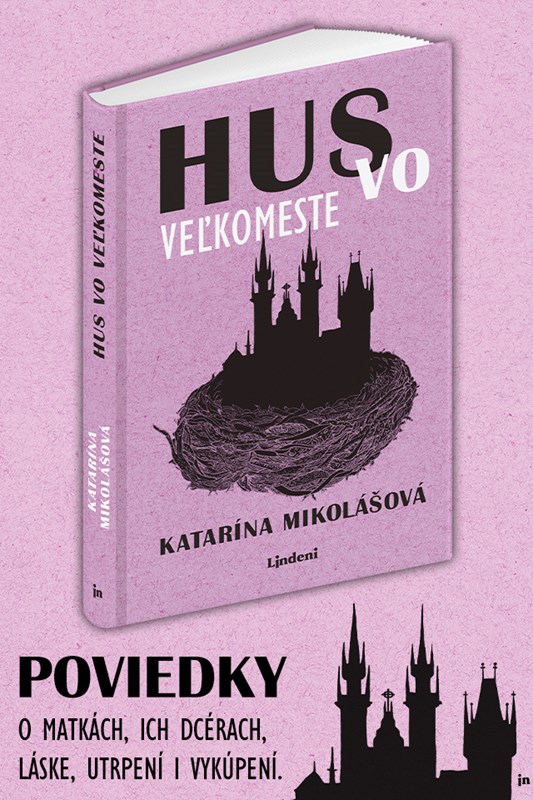 HUS VO VEĽKOMESTE V OCEŇOVANEJ DESIATKE ANASOFT LITERA!
