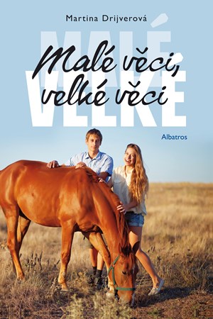 Malé věci, velké věci