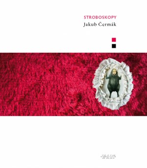 Stroboskopy