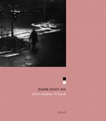 Žádné dívky, nic