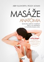 Masáže - anatómia