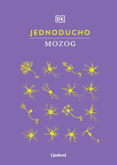 Jednoducho - Mozog
