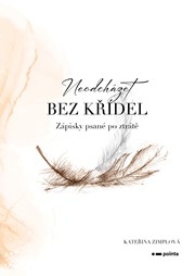 Neodcházet bez křídel