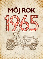 Môj rok 1965