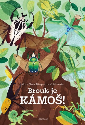 Brouk je kámoš