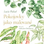 Pokojovky jako malované 