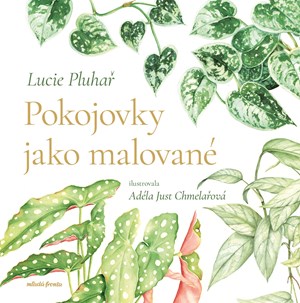 Pokojovky jako malované 