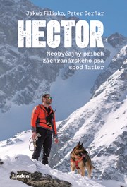 Hector (2. akosť)