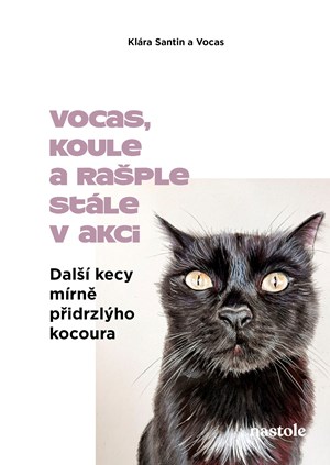 Další kecy mírně přidrzlýho kocoura