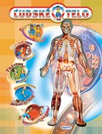 Ľudské telo (2. akosť)