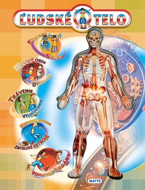 Ľudské telo (2. akosť)