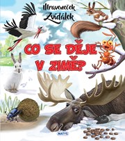 Mraveneček Zvídálek: Co se děje v zimě?