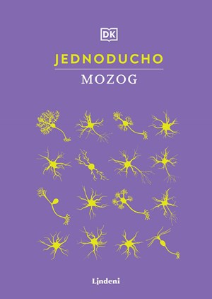 Jednoducho - Mozog (2. akosť)