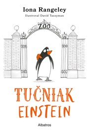 Tučniak Einstein (2. akosť)