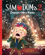 Sám doma 2 - Ztracen v New Yorku