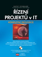 Řízení projektů v IT