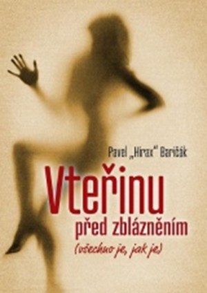 Vteřinu před zblázněním