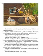 0000021982_strana_090.jpg