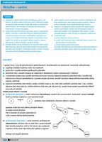 0027730746_cesky-jazyk-v-kostce-pro-ss-t