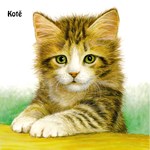 0027737122_mladatka-tit-201817-01-list-0