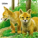 0027737122_mladatka-tit-201817-01-list-0