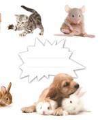 0027721939_zapisnicek-mazlicci-tir-70002