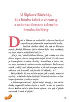 0029597528_s-blbounem-za-velkym-dobrodru