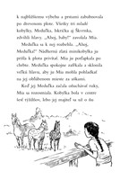 0029701162_zvieraci-zachranari-plachy-po