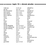 0029296709_anglictina-nielen-do-auta-cd-