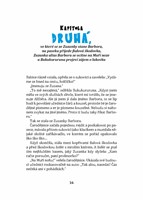 0030332998_strana_016.jpg