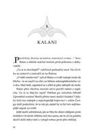 0033087369_spirit-animals-zradne-vody-20