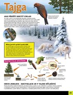 0033870044_zazracna-priroda-lesy-a-prale