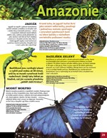 0033870044_zazracna-priroda-lesy-a-prale