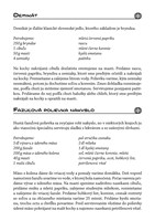 0033527023_krizovky-s-tradicnymi-recepta