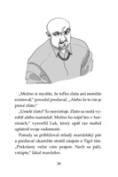 0034206539_tigri-tim-pust-cierneho-obra-