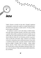 0033438534_dvojcata-na-stope-zahada-v-mu