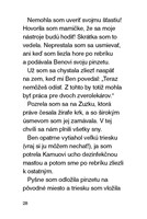 0033924037_julinka-mala-zverolekarka-6-v