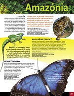 0033838521_kolobeh-zivota-tajuplny-svet-