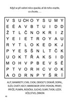 0034242964_lusteni-na-cesty-oranzova-101