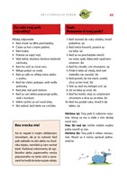 0033673004_moj-psik-102f1f10305-list-03.