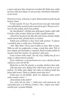 0035286893_panuv-tajemny-odkaz-mezi-elfy