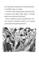 0033678167_mini-tigri-tim-jazda cez-stra