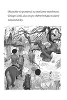 0033678167_mini-tigri-tim-jazda cez-stra