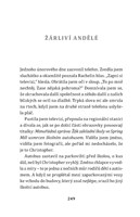 0033629737_strana_249.jpg