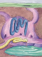 0035854850_soptici-jsou-bombovi-101f0f97