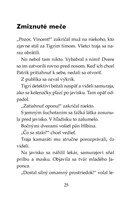 0035813584_tigri-tim-samurajov-mec-102f1