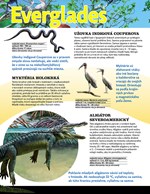 0035264510_kolobeh-zivota-tajuplny-svet-