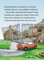 0035264311_speedy-pretekarske-auticko-3-