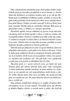 0033561765_grisa-svetlo-a-stiny-101f0f10