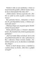 0037760686_tigri-tim-poklad-na-bobrej-ri